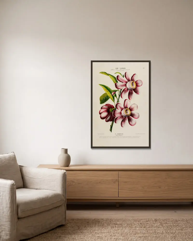 Flore d’Amérique, dessinée d’après nature sur les lieux Pl.181 av Etienne Denisse inramad på en vägg