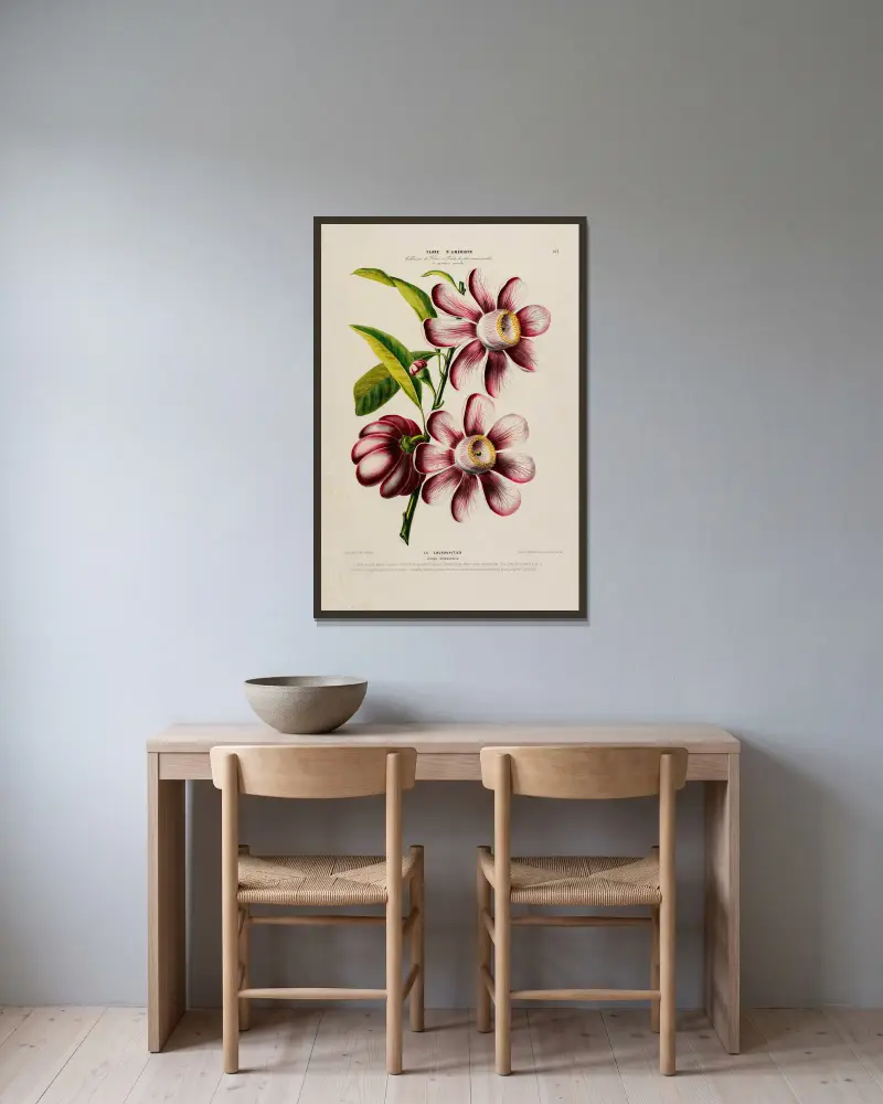 Flore d’Amérique, dessinée d’après nature sur les lieux Pl.181 av Etienne Denisse inramad på en vägg