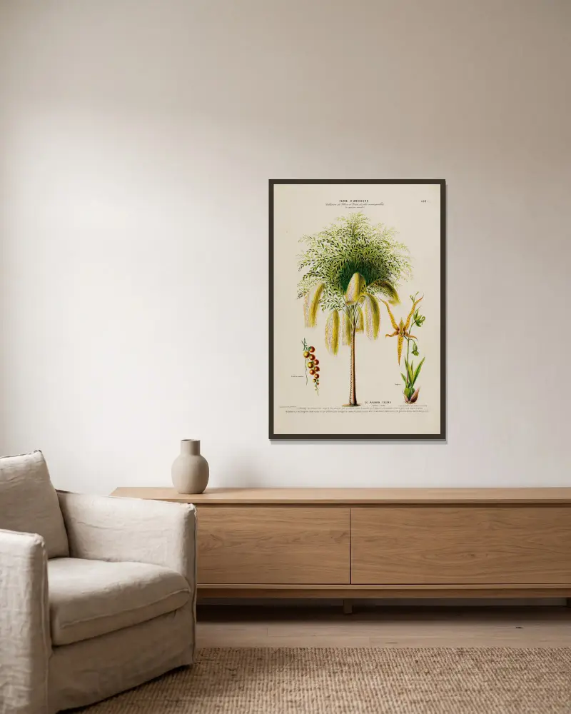 Flore d’Amérique, dessinée d’après nature sur les lieux Pl.182 av Etienne Denisse inramad på en vägg