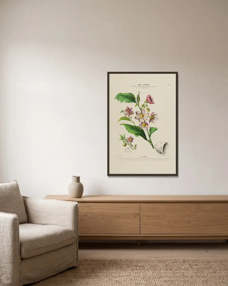 Flore d’Amérique, dessinée d’après nature sur les lieux Pl.183 av Etienne Denisse inramad på en vägg