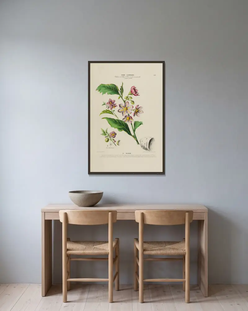 Flore d’Amérique, dessinée d’après nature sur les lieux Pl.183 av Etienne Denisse inramad på en vägg