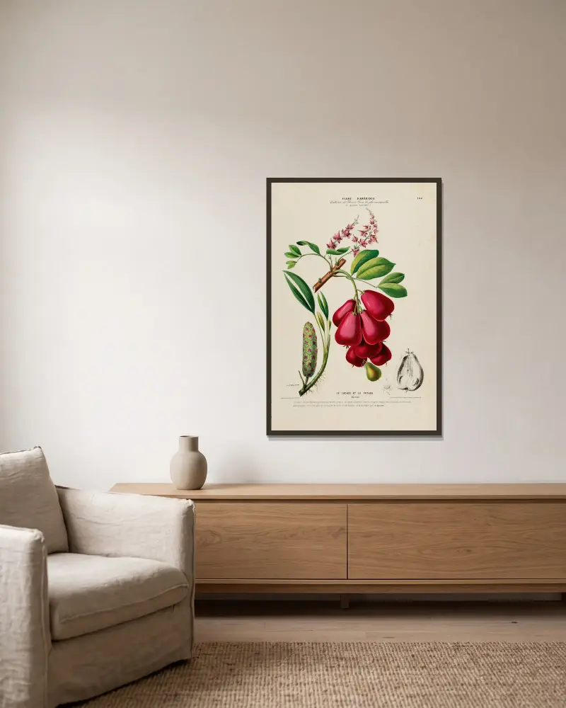 Flore d’Amérique, nach der Natur an Ort und Stelle gezeichnet, Tafel 184 von Etienne Denisse gerahmt an einer Wand