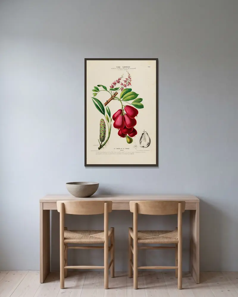 Flore d’Amérique, nach der Natur an Ort und Stelle gezeichnet, Tafel 184 von Etienne Denisse gerahmt an einer Wand