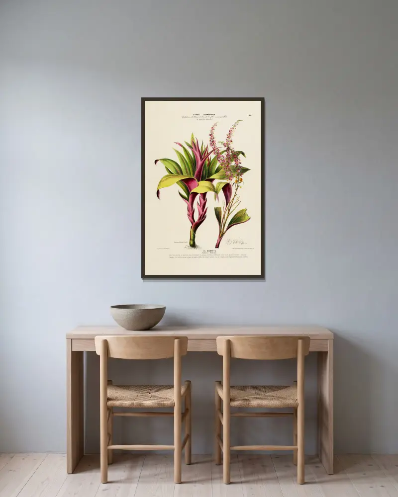 Flore d’Amérique, dessinée d’après nature sur les lieux Pl.185 av Etienne Denisse inramad på en vägg