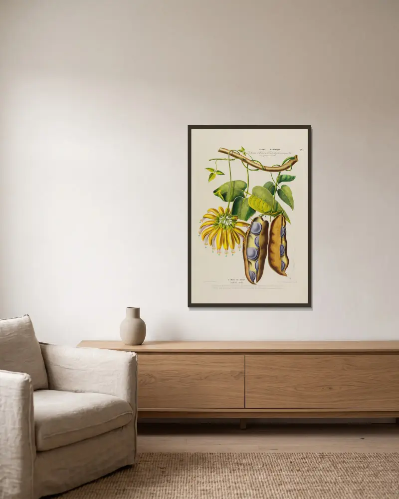Flore d’Amérique, dessinée d’après nature sur les lieux Pl.190 av Etienne Denisse inramad på en vägg