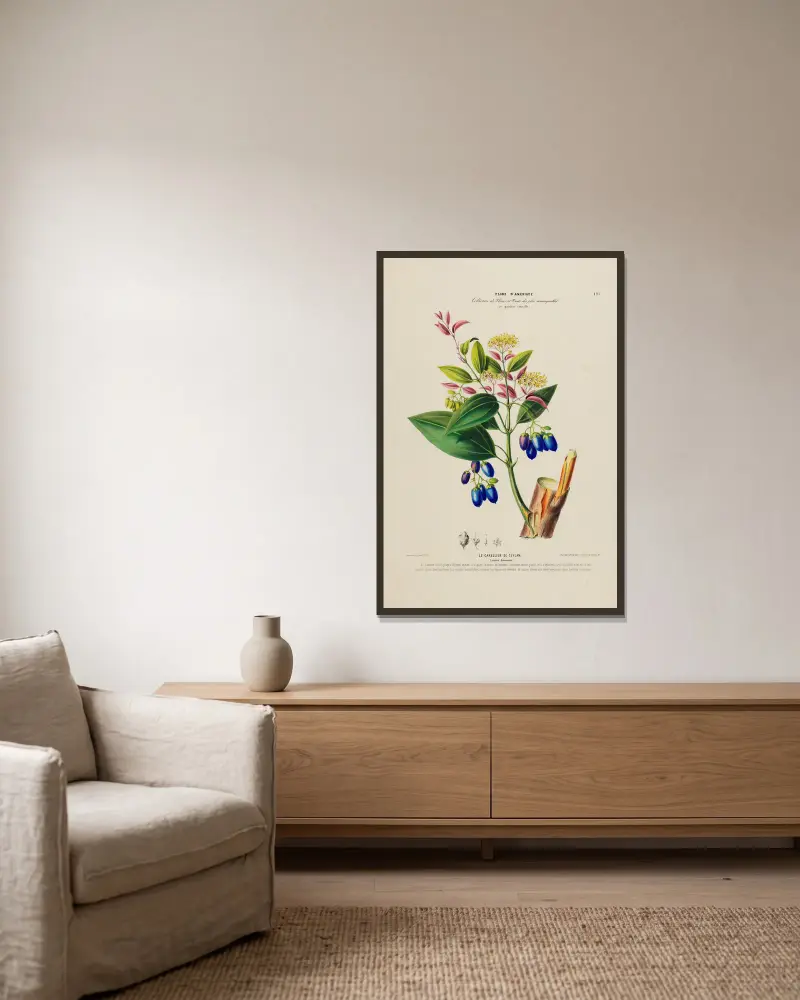Flore d’Amérique, dessinée d’après nature sur les lieux Pl.191 av Etienne Denisse inramad på en vägg