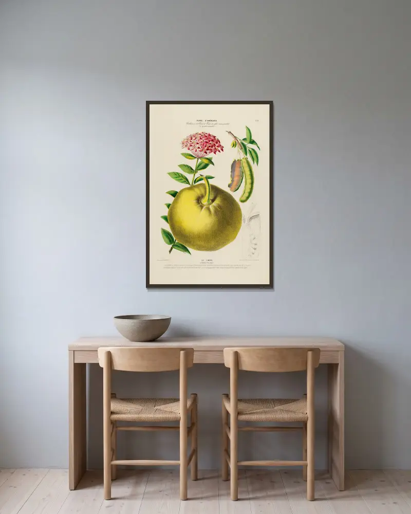 Flore d’Amérique, nach der Natur an Ort und Stelle gezeichnet, Tafel 192 von Etienne Denisse gerahmt an einer Wand