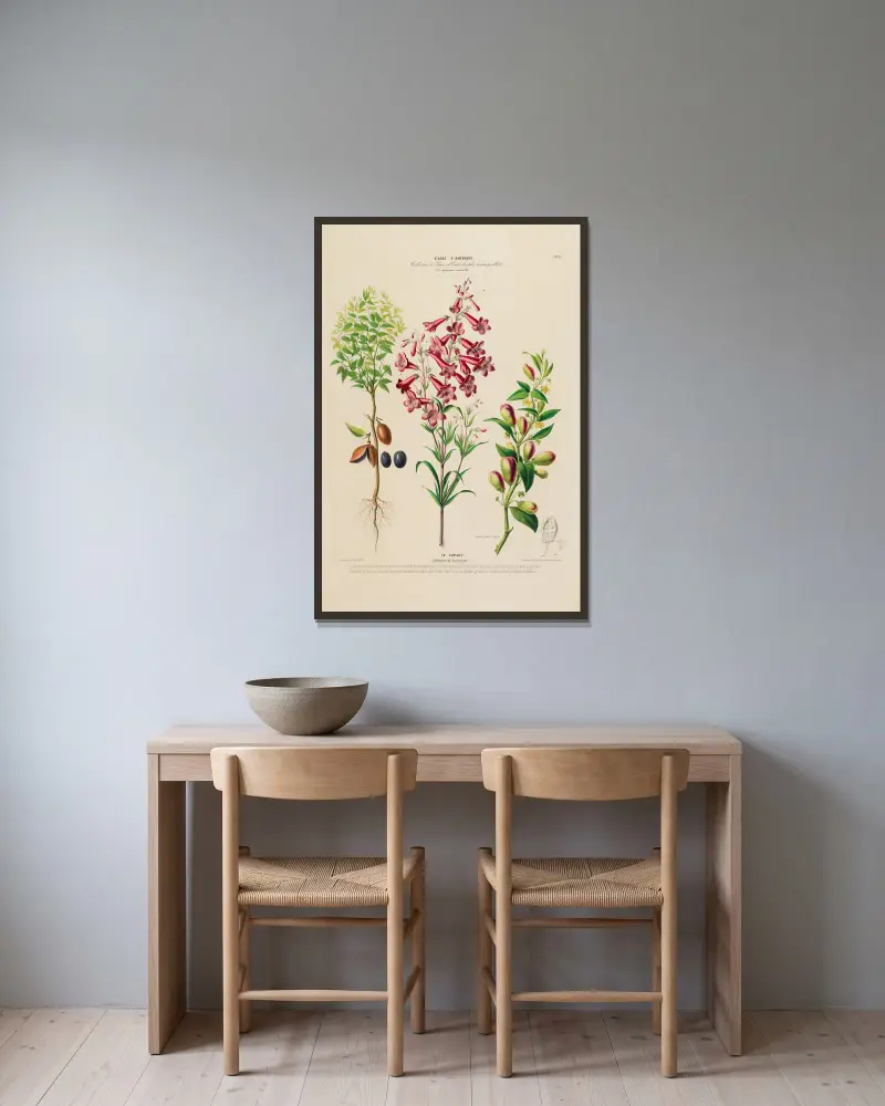 Flore d’Amérique, nach der Natur an Ort und Stelle gezeichnet, Tafel 193 von Etienne Denisse gerahmt an einer Wand