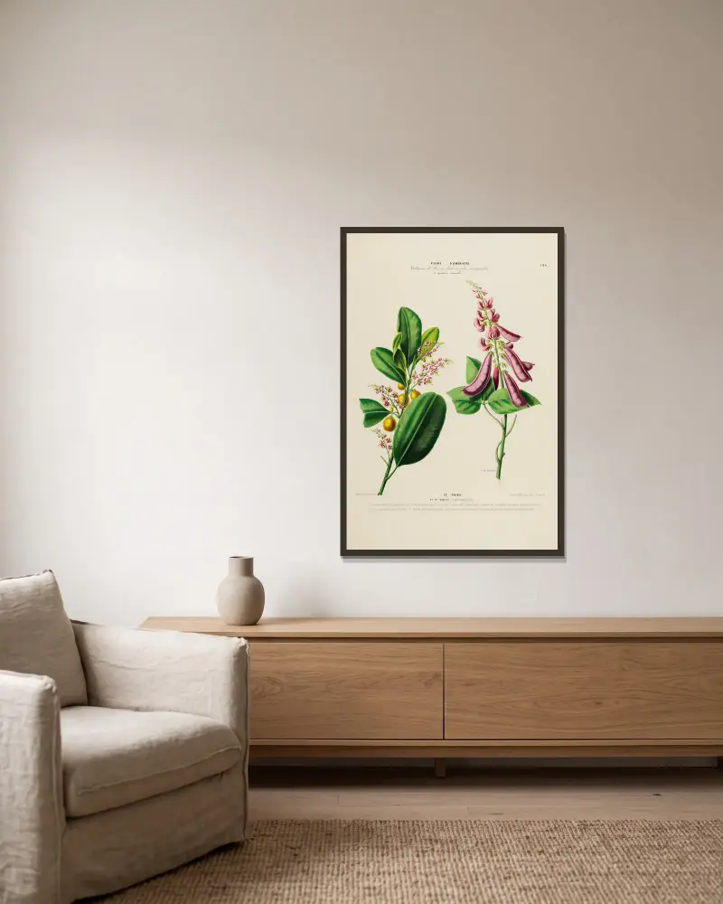 Flore d’Amérique, dessinée d’après nature sur les lieux Pl.194 av Etienne Denisse inramad på en vägg