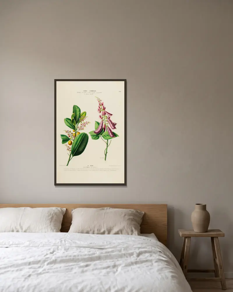 Flore d’Amérique, dessinée d’après nature sur les lieux Pl.194 av Etienne Denisse inramad på en vägg