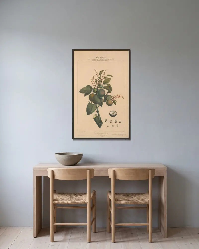 Flore d’Amérique Pl.01 av Etienne Denisse inramad på en vägg