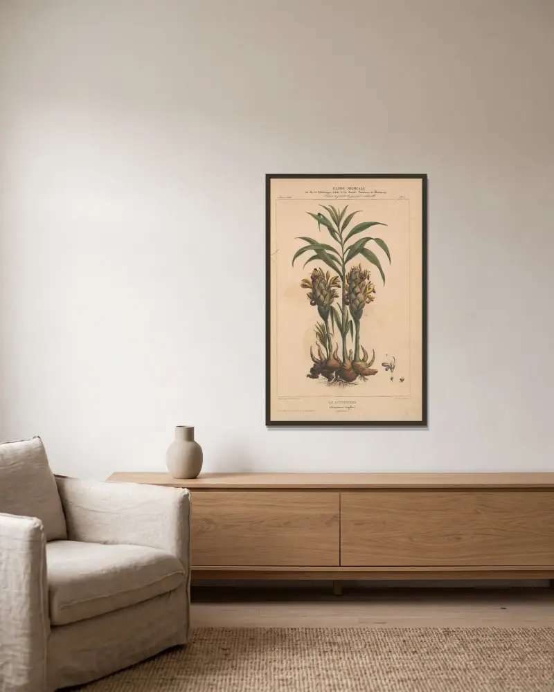 Flore d'Amérique Pl.02 av Etienne Denisse inramad på en vägg