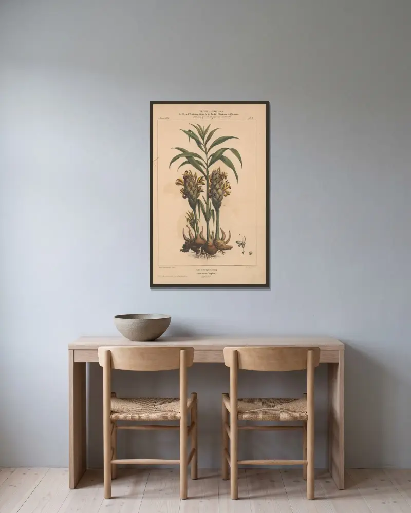 Flore d'Amérique Pl.02 av Etienne Denisse inramad på en vägg