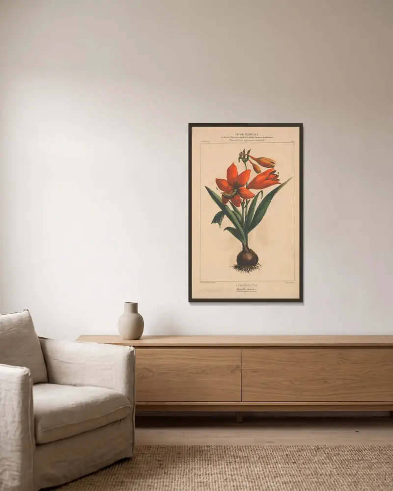 Flore d’Amérique pl. 04 av Etienne Denisse inramad på en vägg
