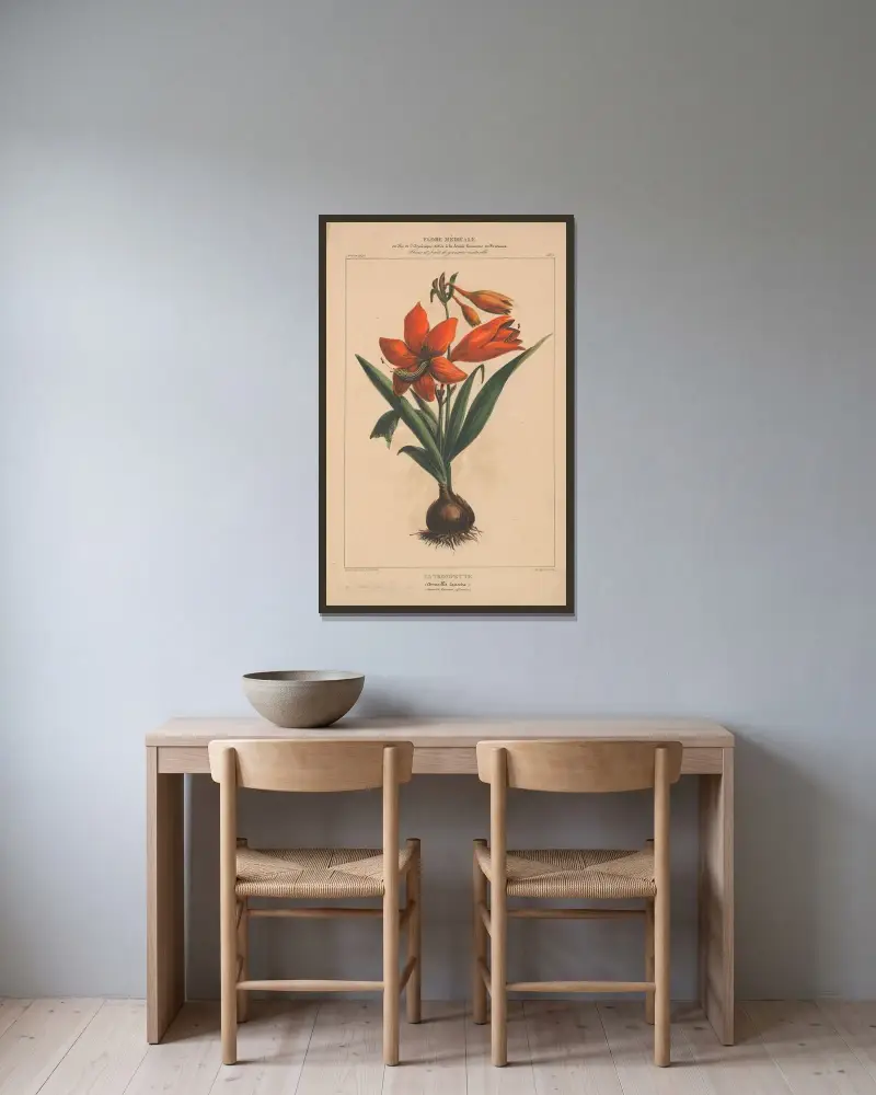 Flore d’Amérique pl. 04 av Etienne Denisse inramad på en vägg