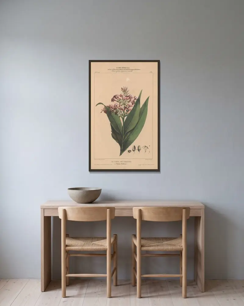 Flore d’Amérique Pl.07 av Etienne Denisse inramad på en vägg
