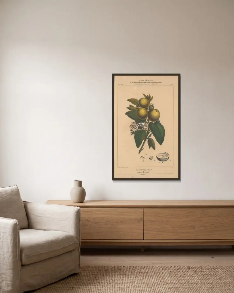 Flore d’Amérique Pl.10 av Etienne Denisse inramad på en vägg