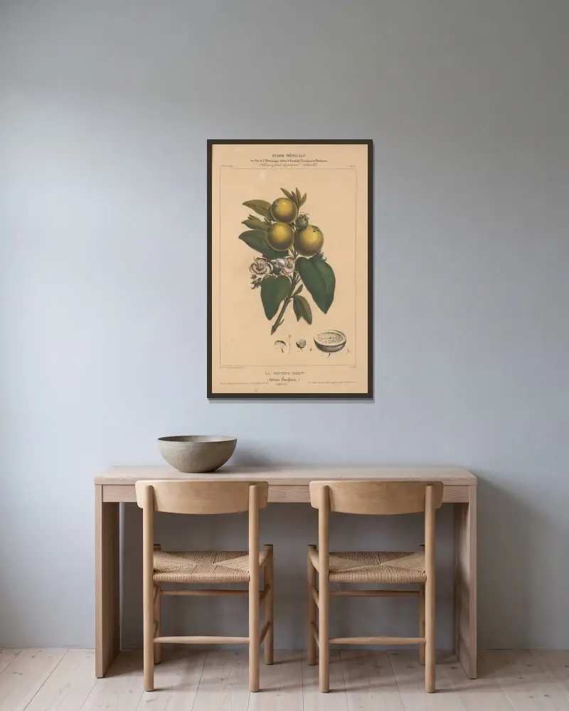 Flore d’Amérique Pl.10 av Etienne Denisse inramad på en vägg