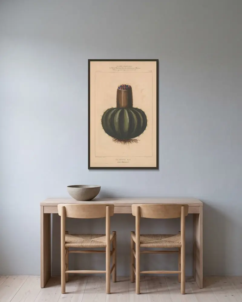 Flore d’Amérique Pl.12 av Etienne Denisse inramad på en vägg