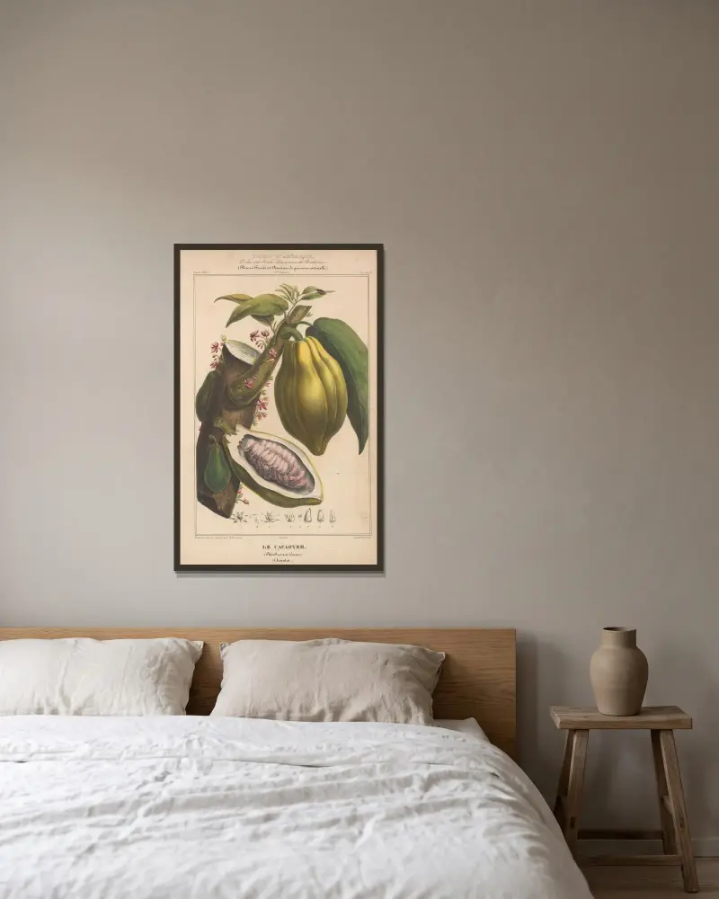 Flore d’Amérique Pl.13 av Etienne Denisse inramad på en vägg