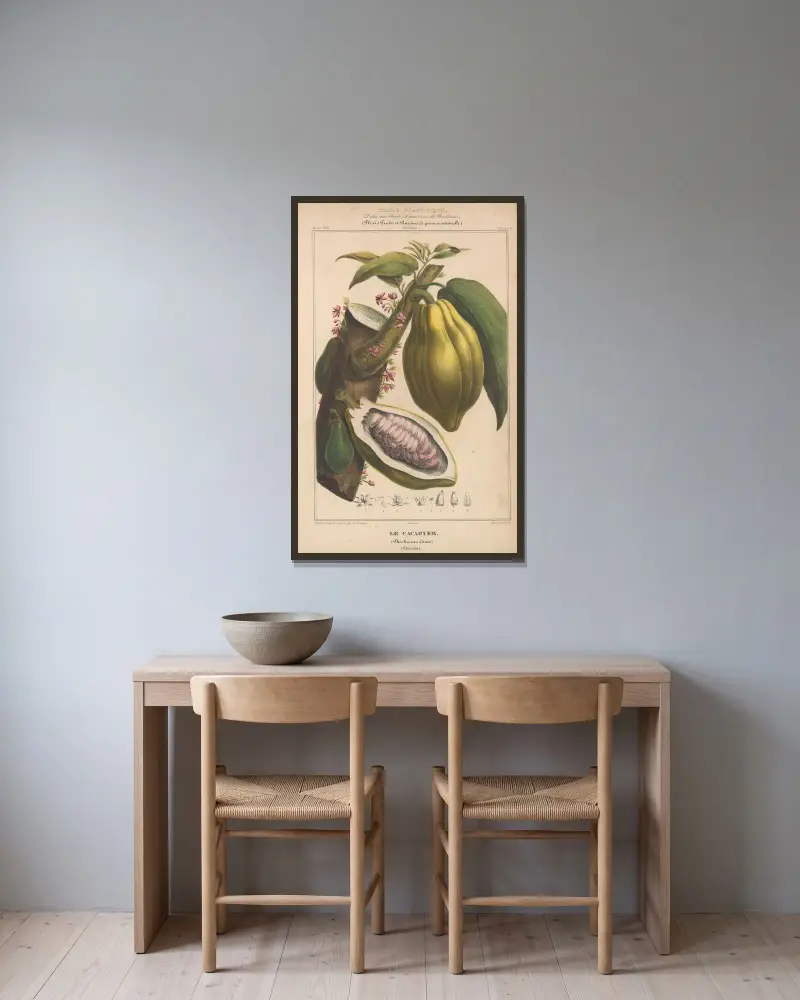 Flore d’Amérique Pl.13 av Etienne Denisse inramad på en vägg
