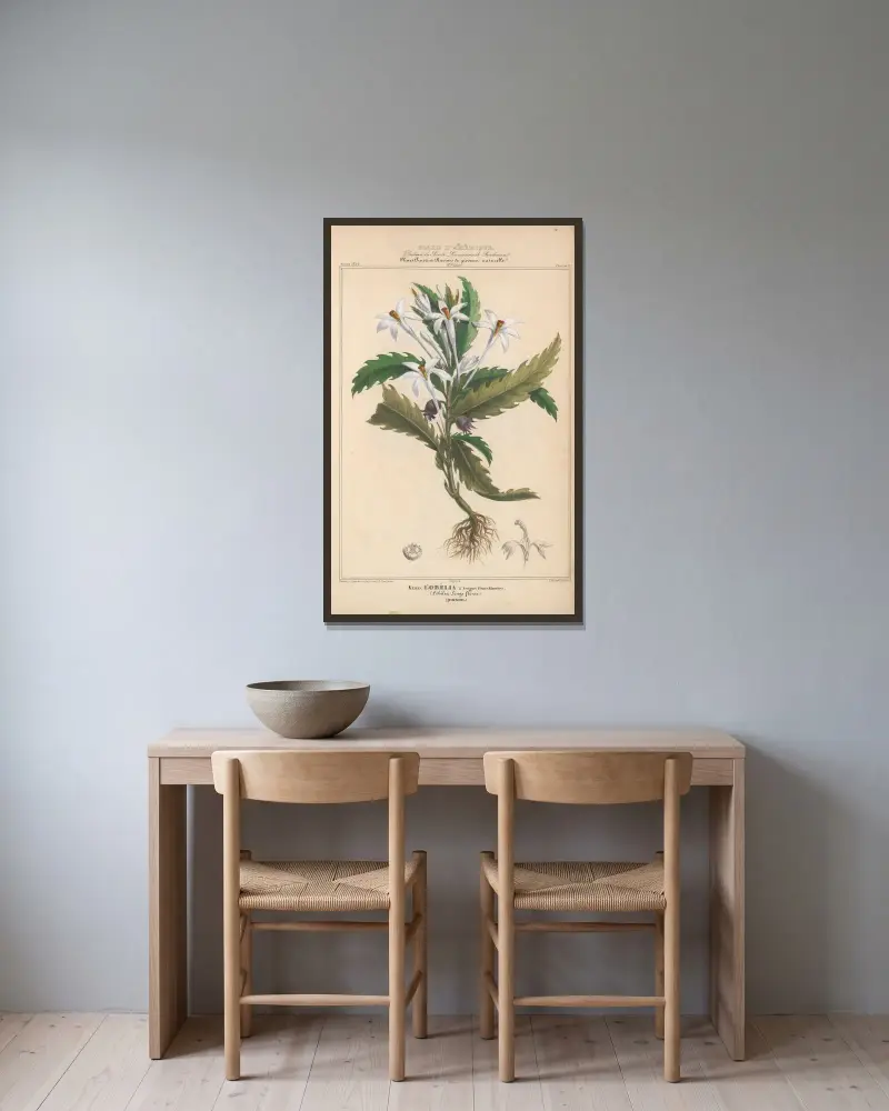 Flore d’Amérique Pl.14 av Etienne Denisse inramad på en vägg
