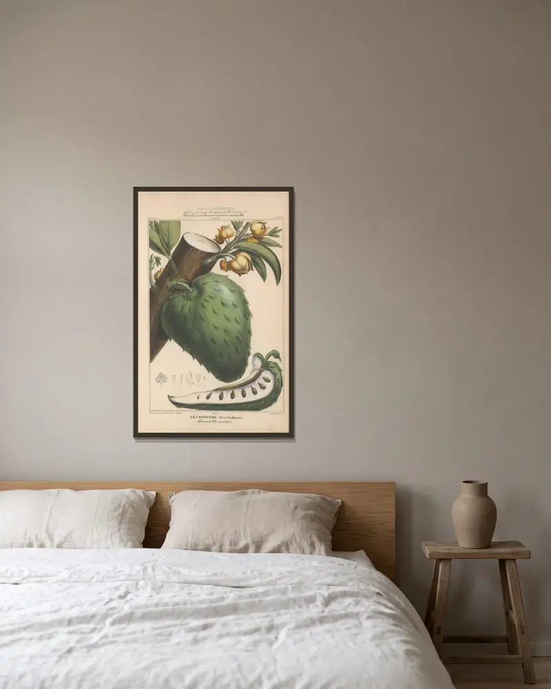 Flore d’Amérique Pl.17 av Etienne Denisse inramad på en vägg