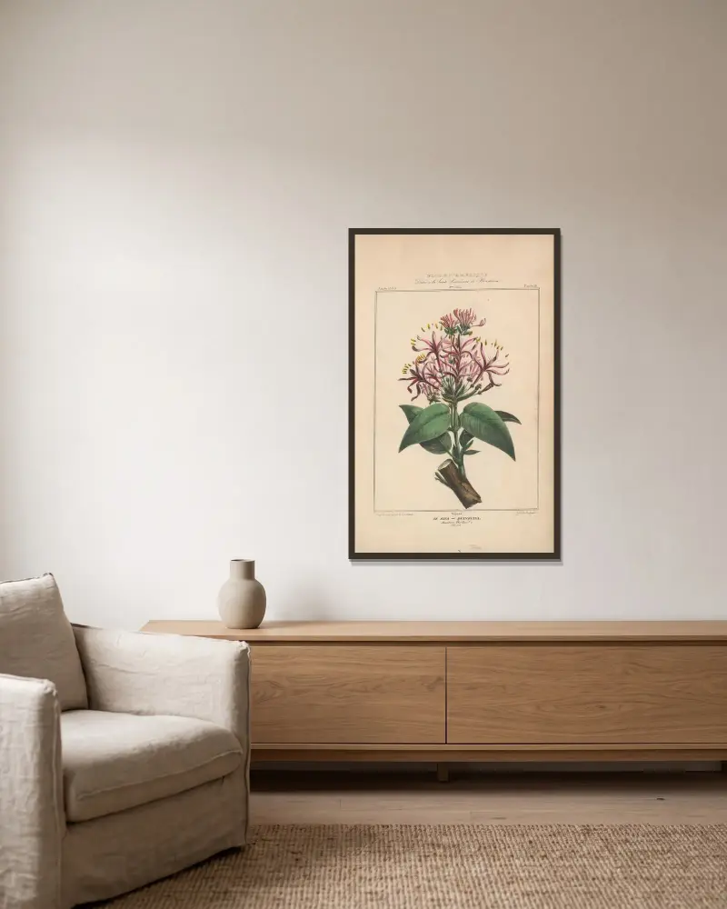 Flore d’Amérique Pl.18 av Etienne Denisse inramad på en vägg