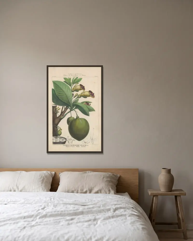 Flore d’Amérique Pl.19 av Etienne Denisse inramad på en vägg