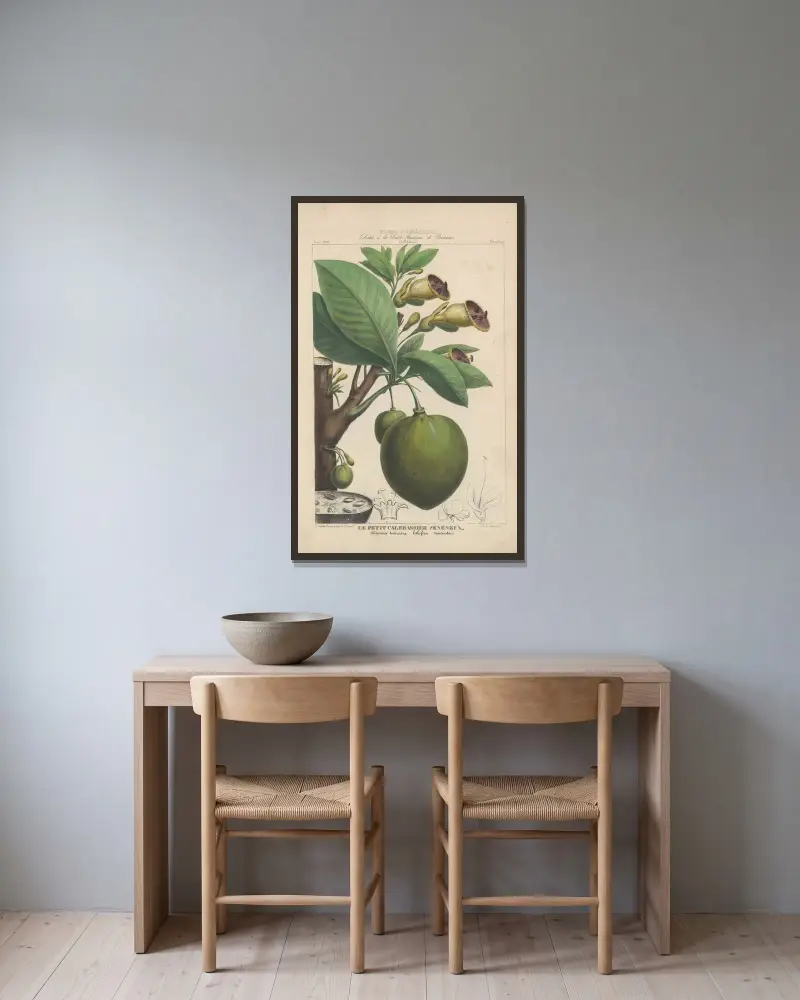 Flore d’Amérique Pl.19 av Etienne Denisse inramad på en vägg