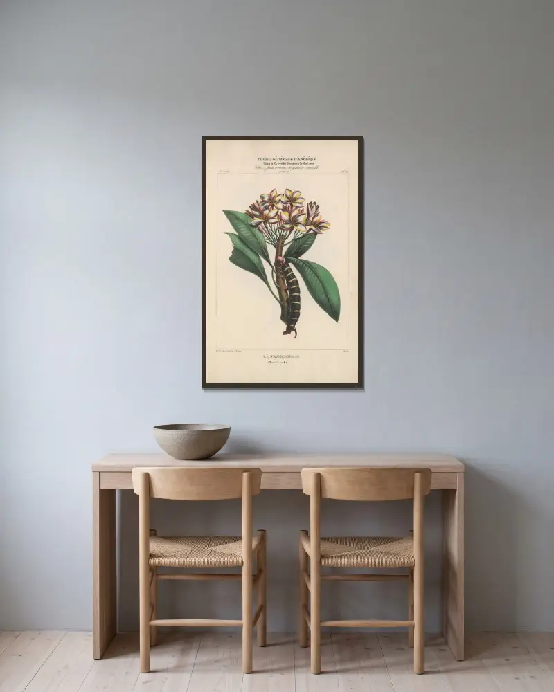 Flore d’Amérique Pl.21 av Etienne Denisse inramad på en vägg