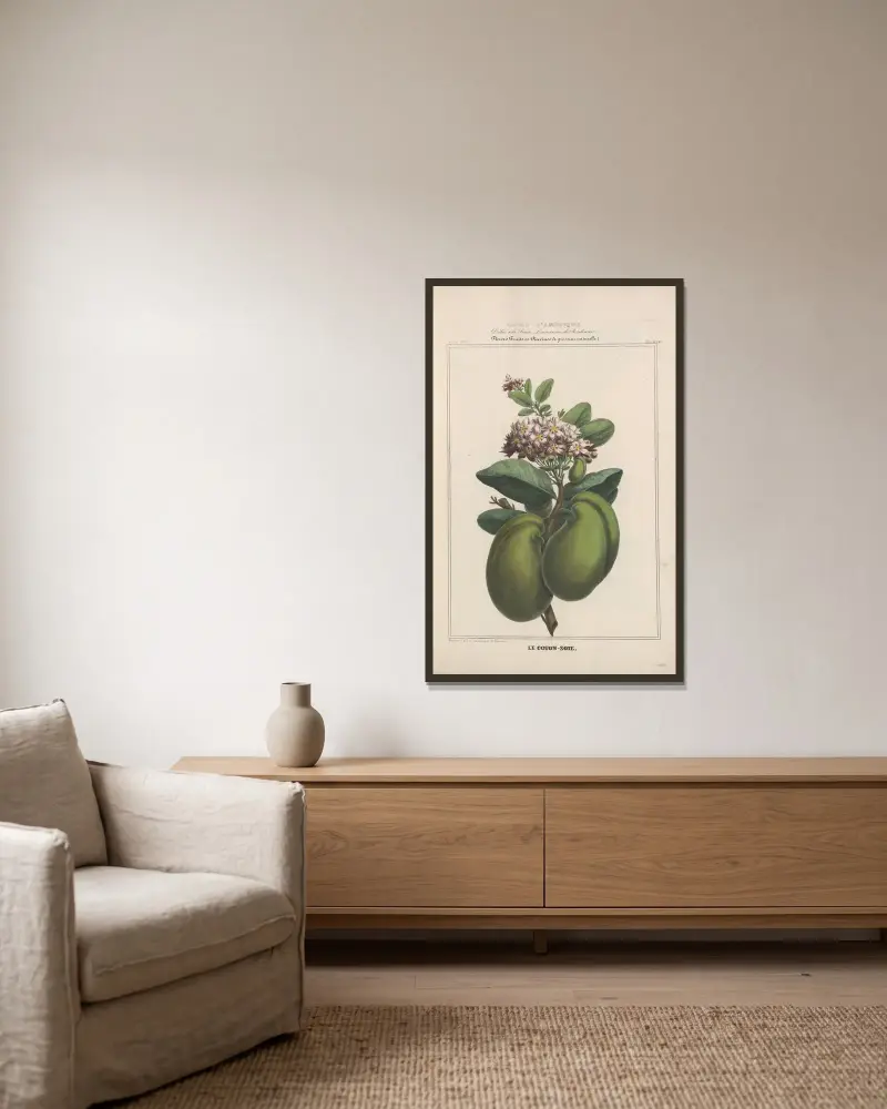 Flore d’Amérique Pl.23 av Etienne Denisse inramad på en vägg