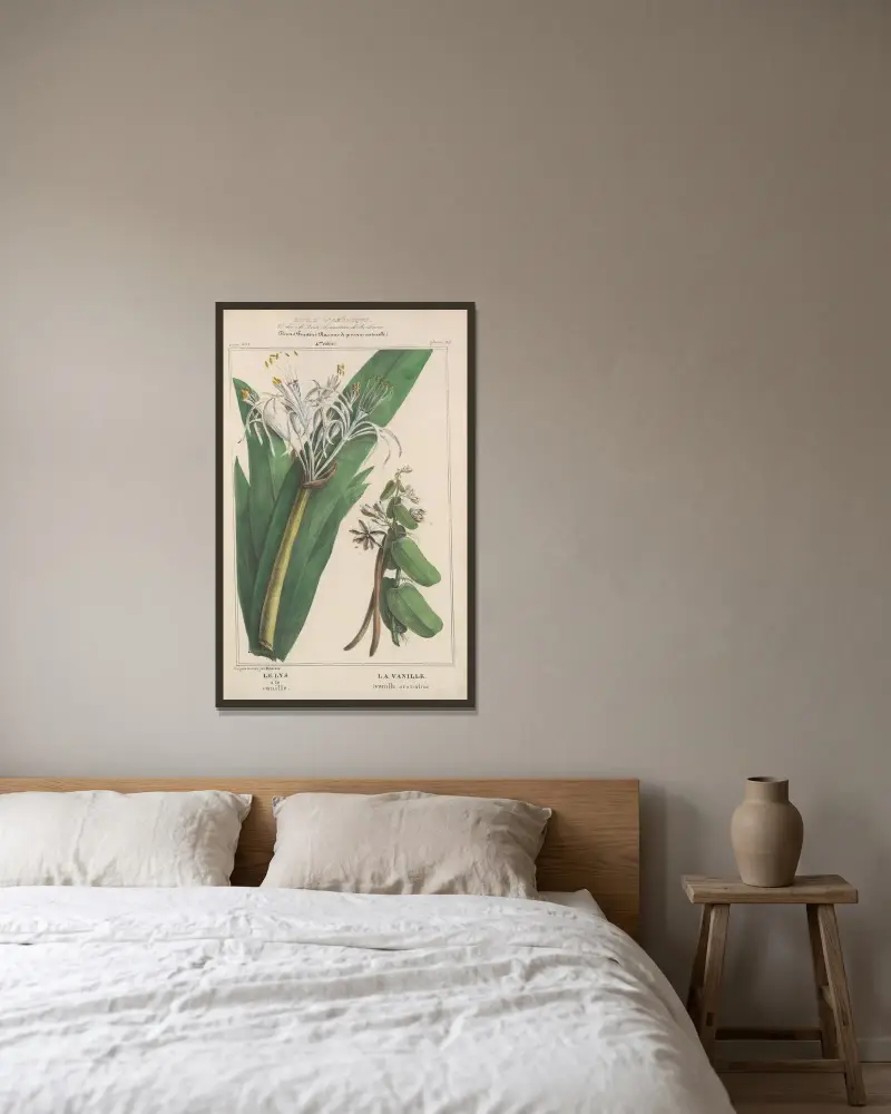 Flore d’Amérique Pl.24 av Etienne Denisse inramad på en vägg