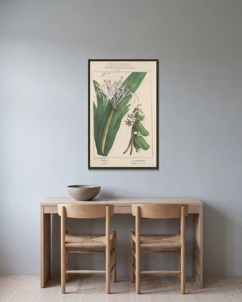 Flore d’Amérique Pl.24 av Etienne Denisse inramad på en vägg