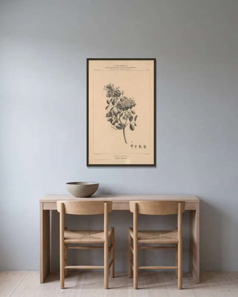Flore d’Amérique Pl.29 av Etienne Denisse inramad på en vägg