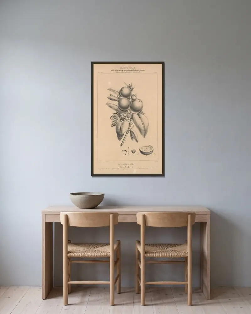 Flore d’Amérique pl. 34 av Etienne Denisse inramad på en vägg