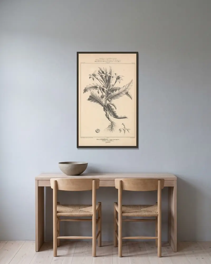 Flore d’Amérique Pl.38 av Etienne Denisse inramad på en vägg
