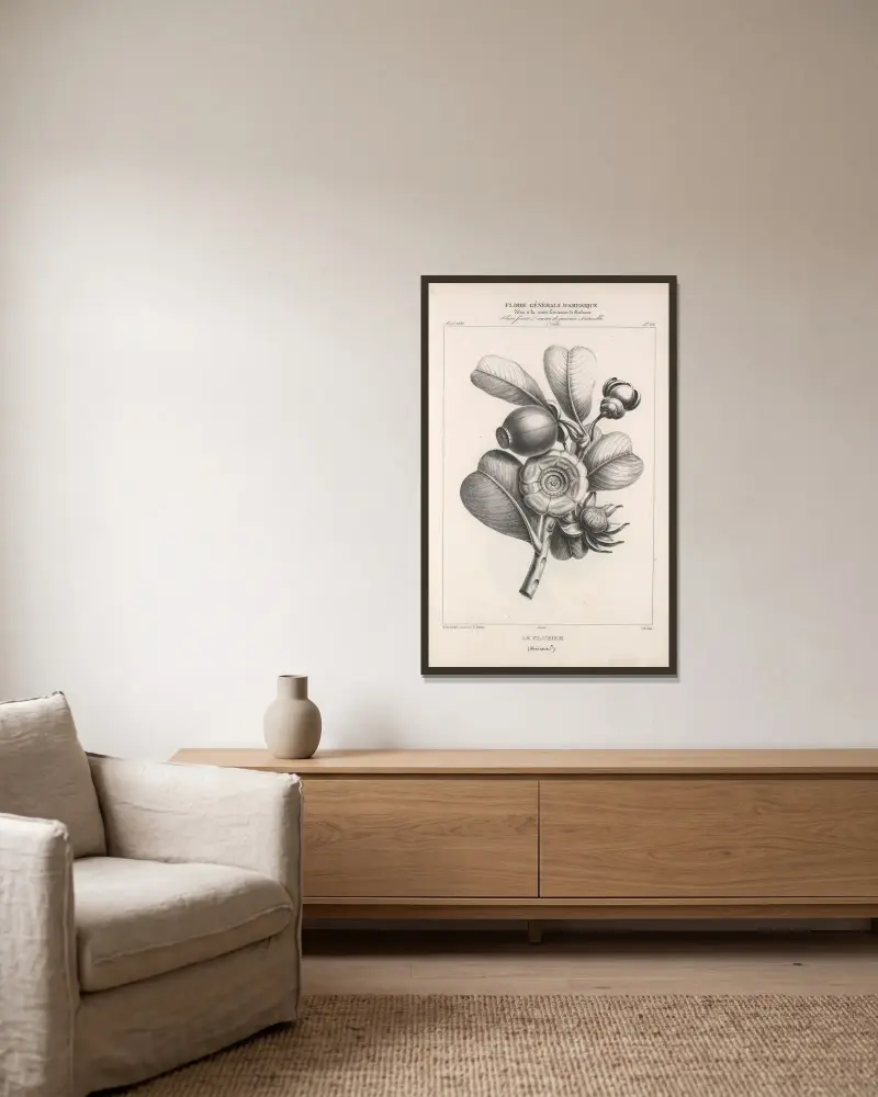 Flore d’Amérique Pl.46 av Etienne Denisse inramad på en vägg