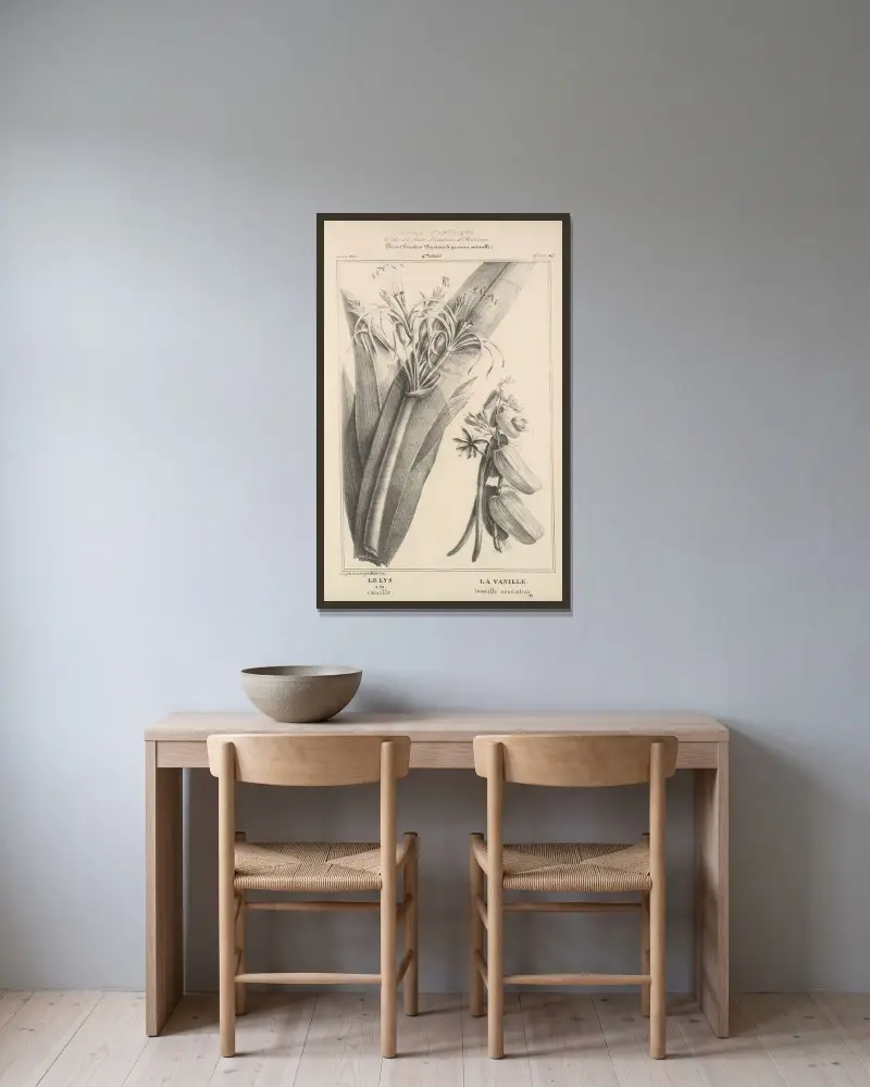 Flore d’Amérique Pl.48 av Etienne Denisse inramad på en vägg