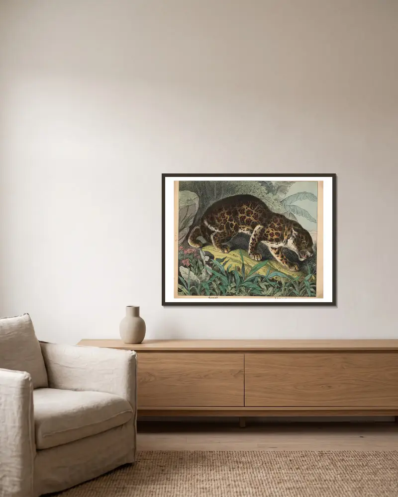 Leopard, J.F. Schreiber v rámu na stěně