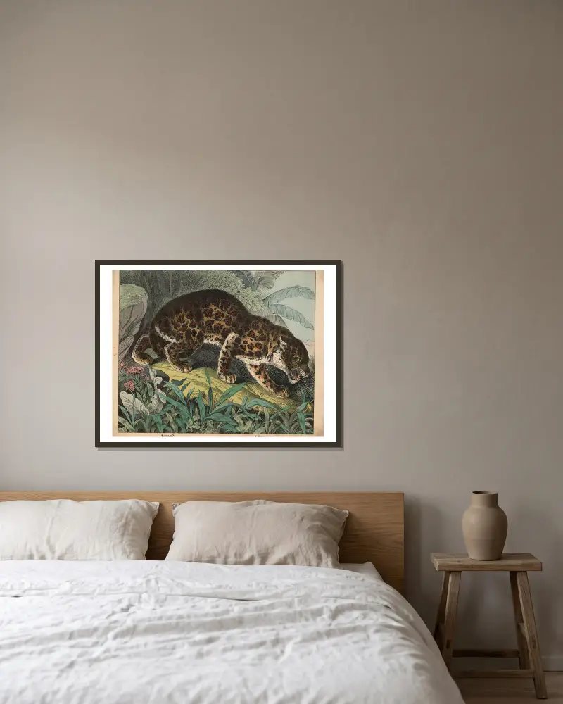 Leopard, J.F. Schreiber v rámu na stěně