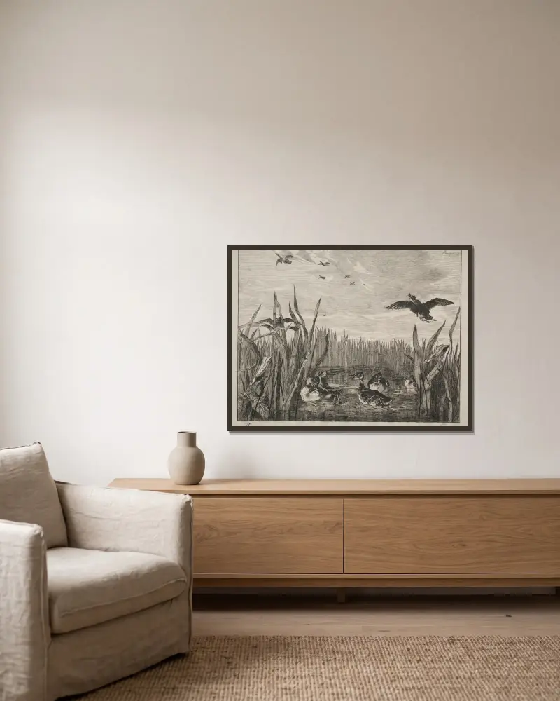 Teal von Félix Bracquemond gerahmt an einer Wand