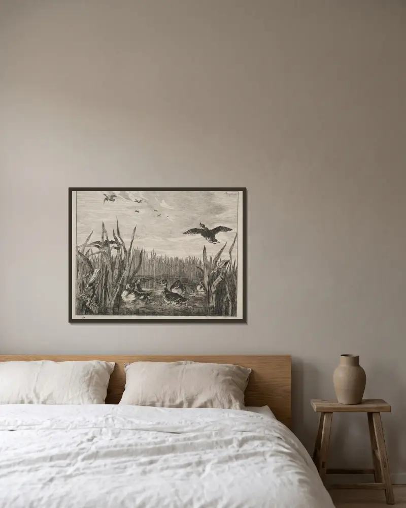 Teal von Félix Bracquemond gerahmt an einer Wand