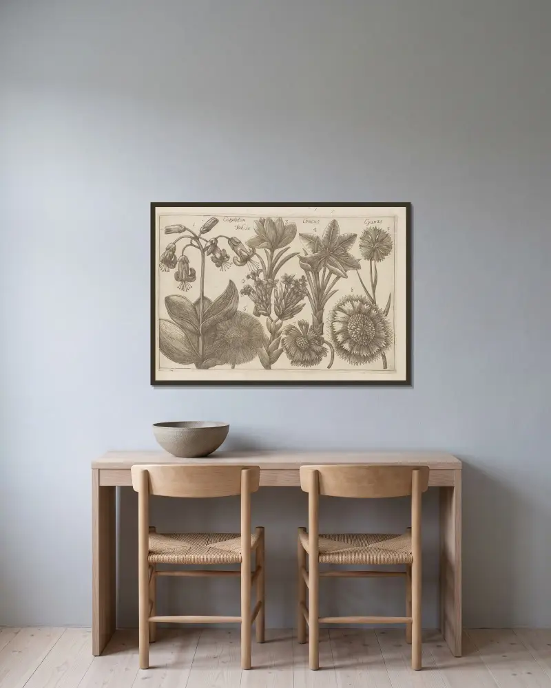 Cotyledon, Crocus, Cyanus av Filippo Arena inramad på en vägg