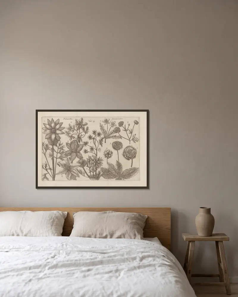 Sasanka, Jaskier, Filippo Arena w ramie na ścianie