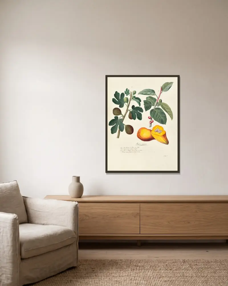Collection du regne vegetal, arbres, forestiers et fruitiers, leurs fruits, &a Pl.39 av Pierre Francois Ledoulx inramad på en vägg
