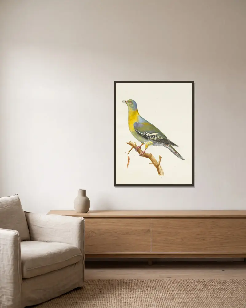 Dessins originaux de 12 pigeons étrangers, inconnus et recueillis par le voyageur Le Vaillant Pl.02 av François Levaillant inramad på en vägg