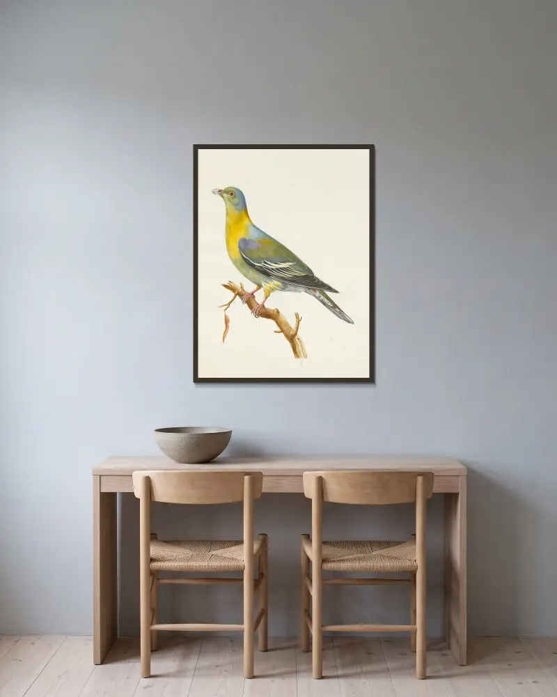 Dessins originaux de 12 pigeons étrangers, inconnus et recueillis par le voyageur Le Vaillant Pl.02 av François Levaillant inramad på en vägg