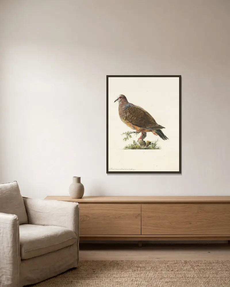 Dessins originaux de 12 pigeons étrangers, inconnus et recueillis par le voyageur Le Vaillant Pl.07 av François Levaillant inramad på en vägg