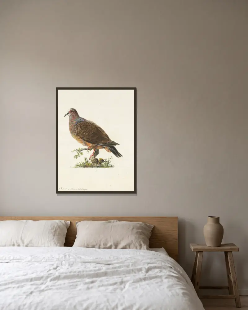 Dessins originaux de 12 pigeons étrangers, inconnus et recueillis par le voyageur Le Vaillant Pl.07 av François Levaillant inramad på en vägg